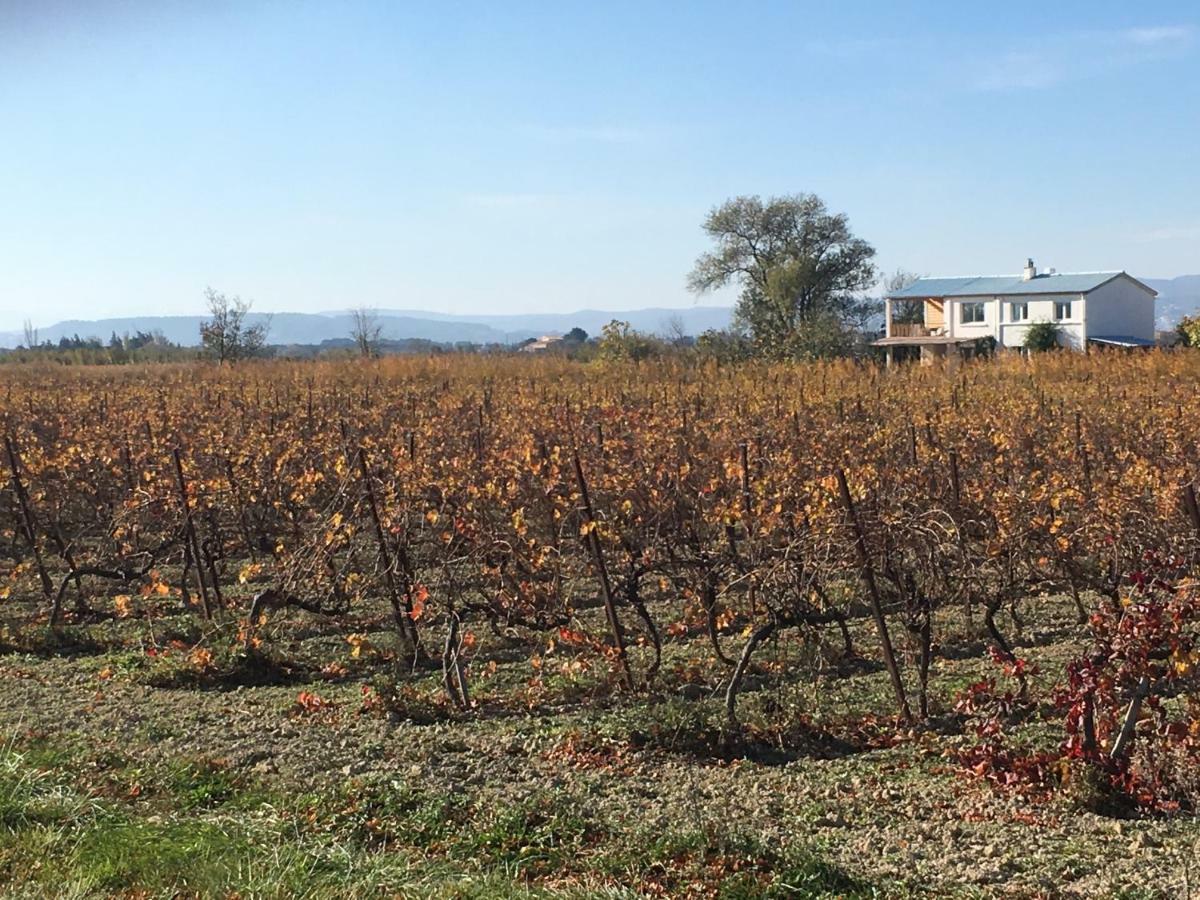 Domaine Limouzy Villa Narbonne Ngoại thất bức ảnh